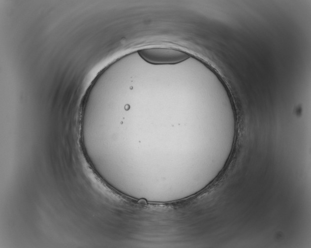 X0000116321526200912221348