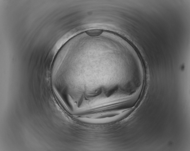 X0000116321529200912221348