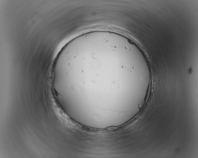 X0000116321530200912221348