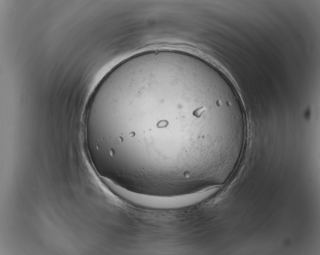 X0000116321533200912221348