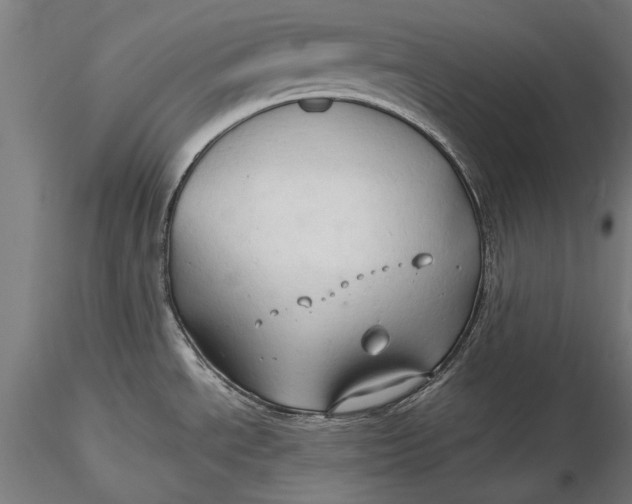 X0000116321534200912221348