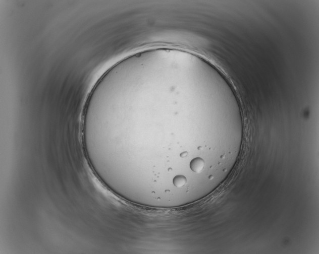 X0000116321535200912221348