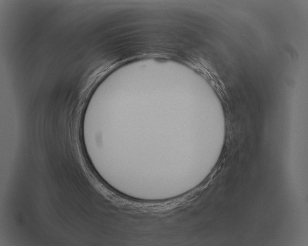 X0000116320001200912291542