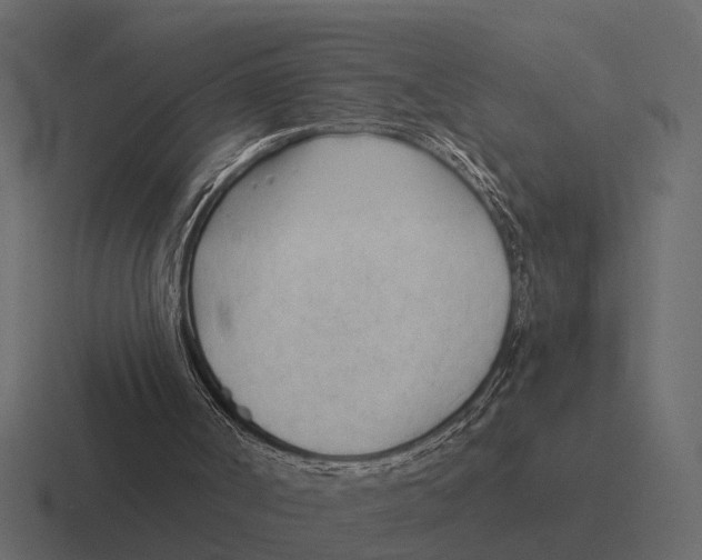 X0000116320002200912291542