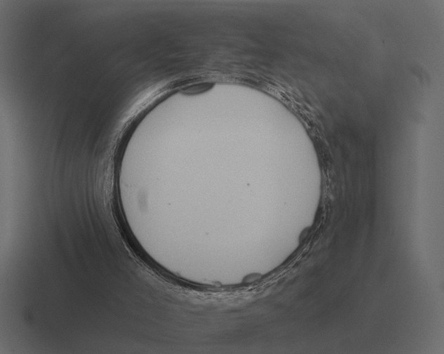 X0000116320005200912291542