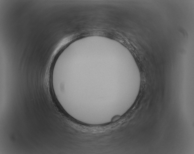 X0000116320006200912291542