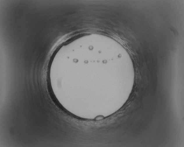 X0000116320007200912291542