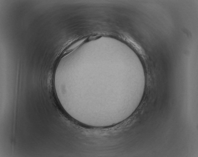 X0000116320009200912291542