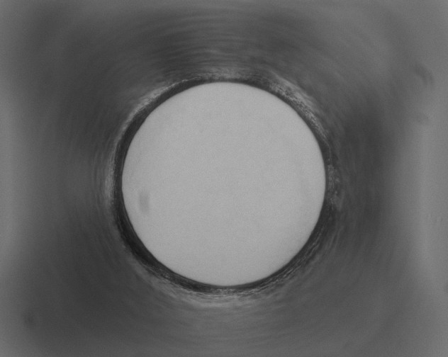 X0000116320012200912291542