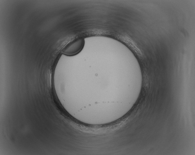 X0000116320014200912291542