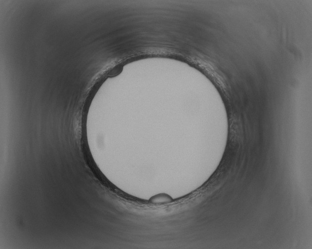 X0000116320015200912291542