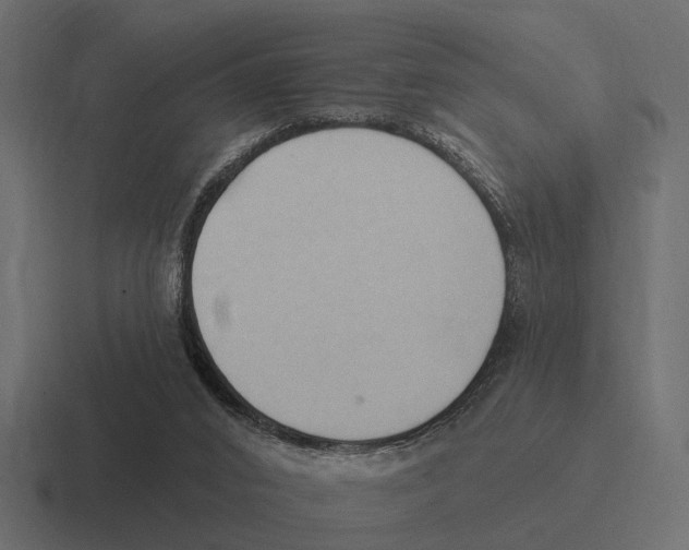 X0000116320016200912291542