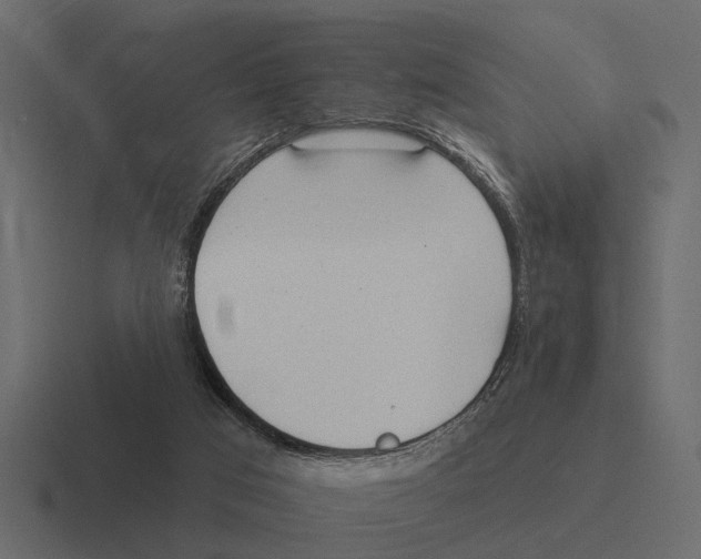 X0000116320017200912291542