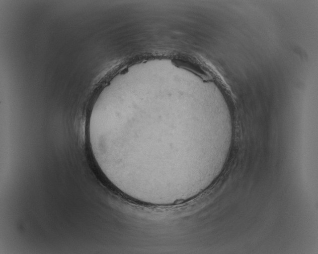 X0000116320019200912291542