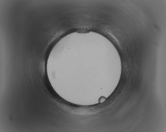 X0000116320020200912291542