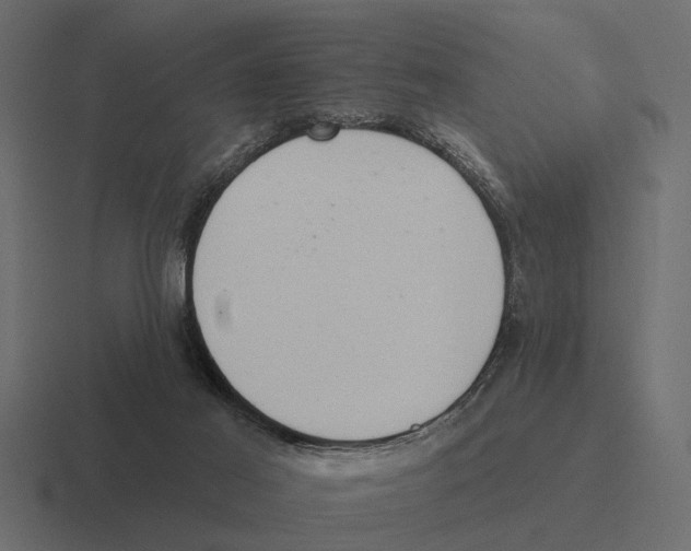 X0000116320021200912291542