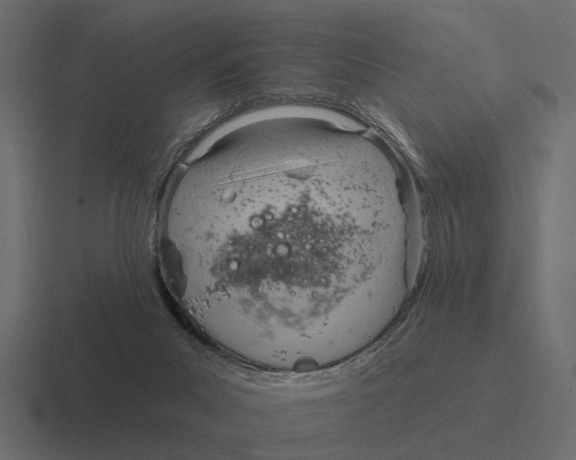 X0000116320023200912291542