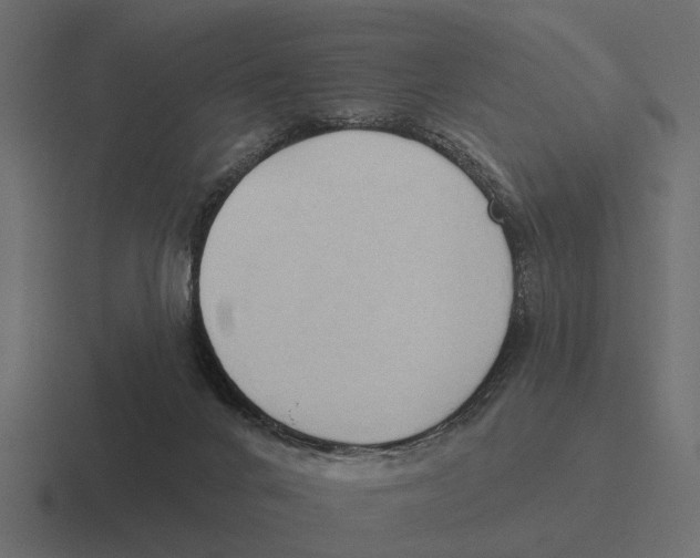 X0000116320024200912291542