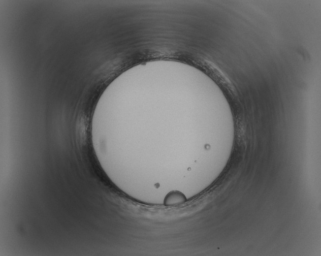 X0000116320026200912291542