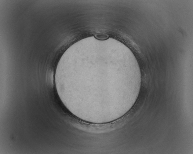 X0000116320027200912291542