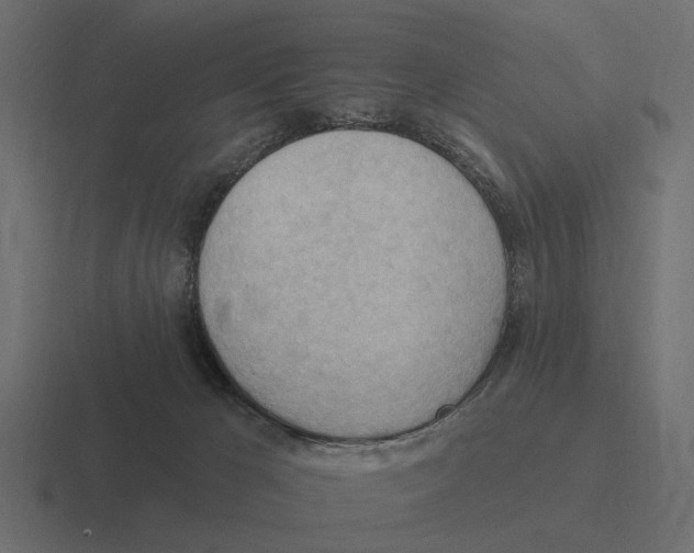 X0000116320029200912291542