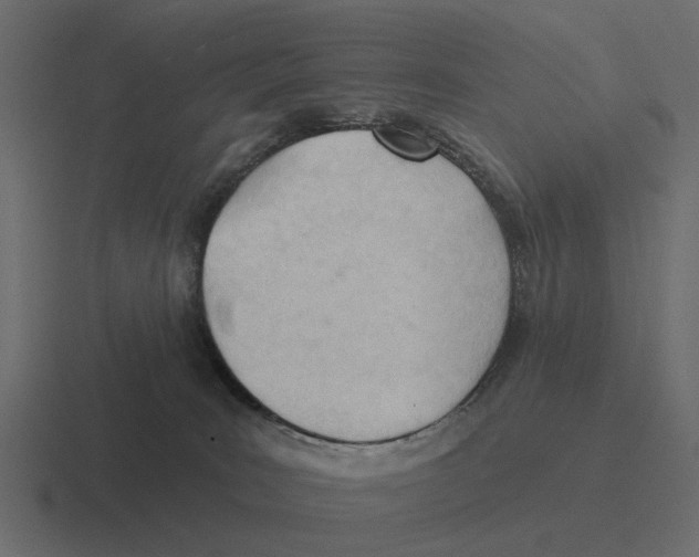 X0000116320035200912291542