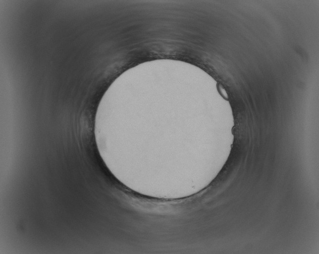 X0000116320040200912291542