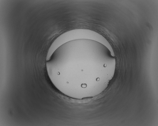 X0000116320043200912291542