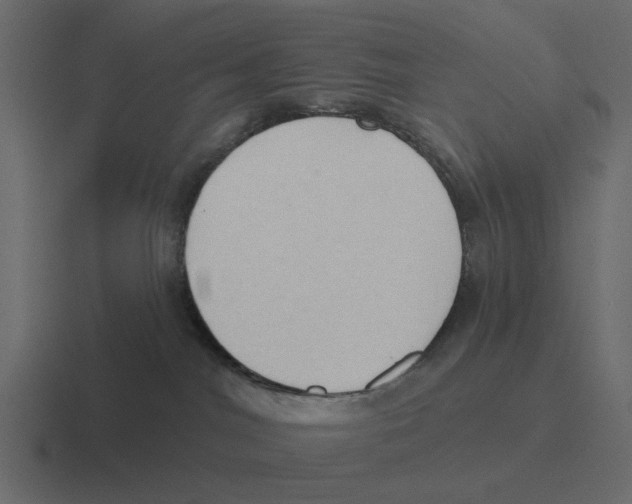 X0000116320044200912291542