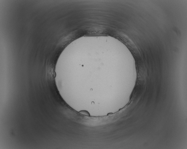 X0000116320045200912291542