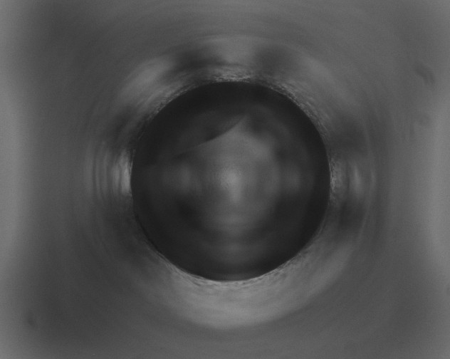 X0000116320046200912291542