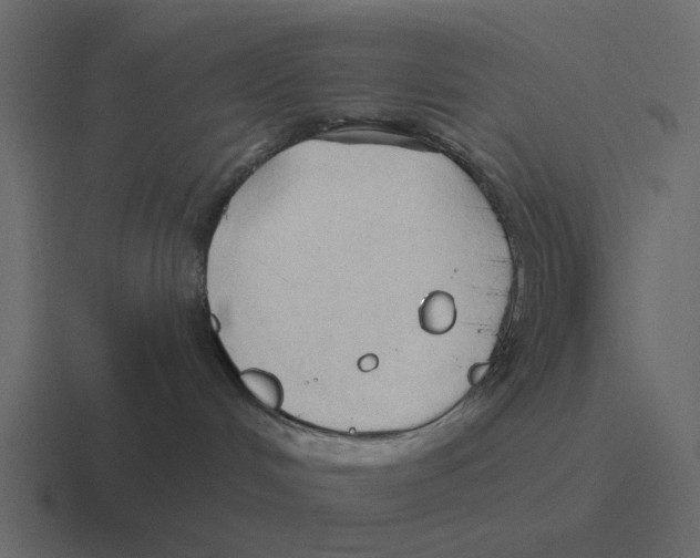 X0000116320048200912291542