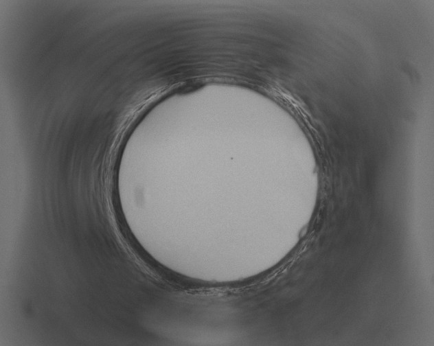 X0000116320049200912291541