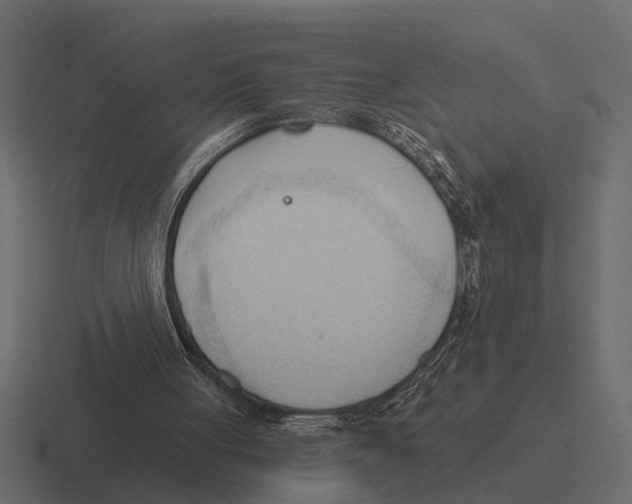 X0000116320051200912291541