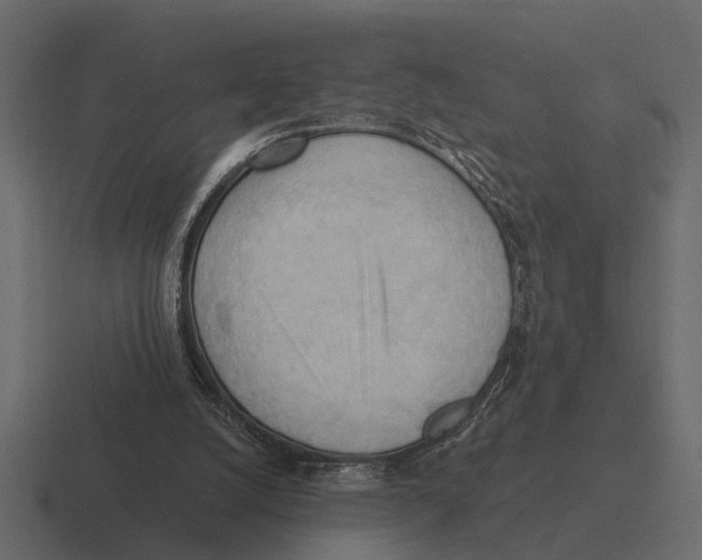 X0000116320056200912291541