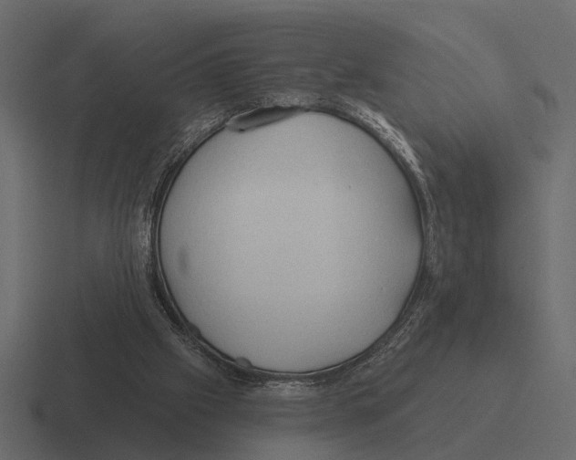 X0000116320057200912291541