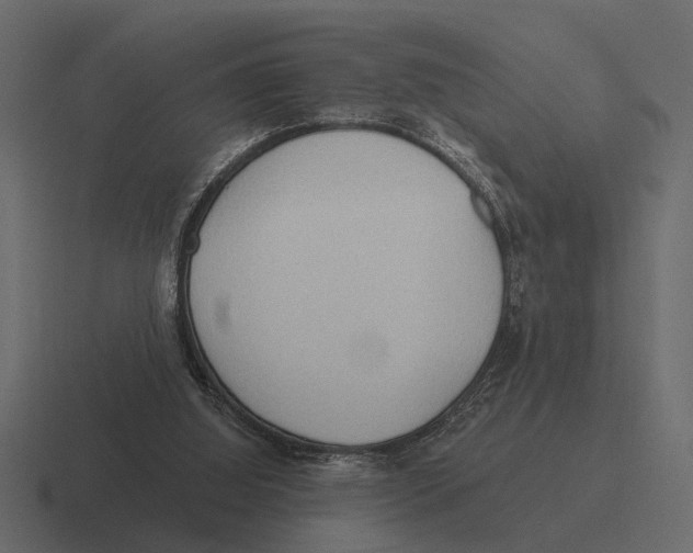 X0000116320060200912291541