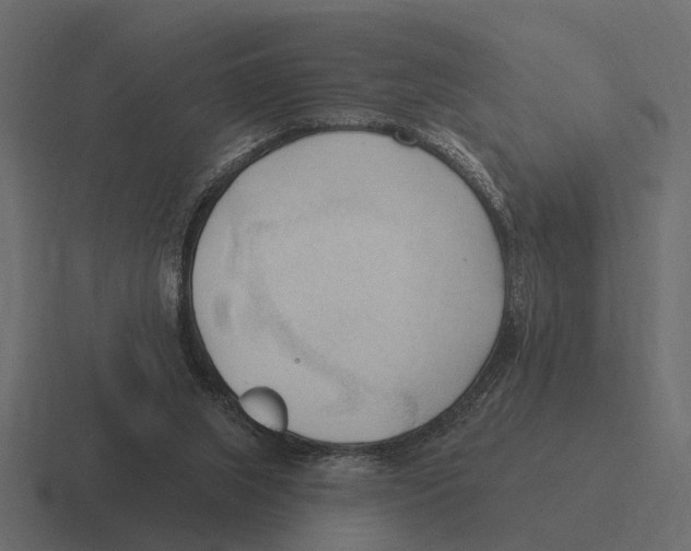 X0000116320063200912291541