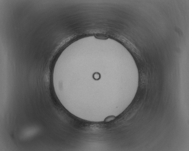 X0000116320064200912291541