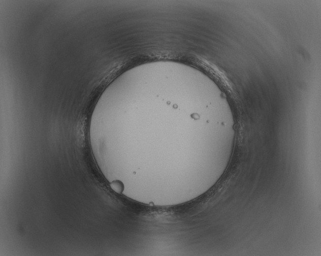 X0000116320065200912291541