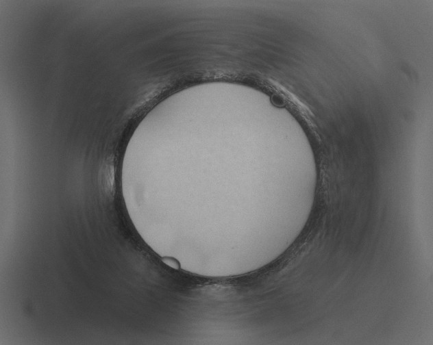 X0000116320067200912291541