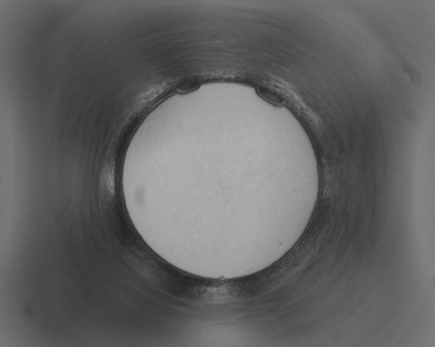 X0000116320068200912291541