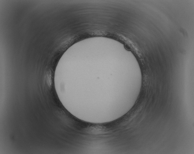 X0000116320069200912291541