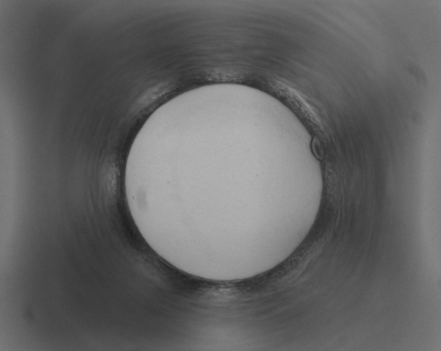 X0000116320071200912291541