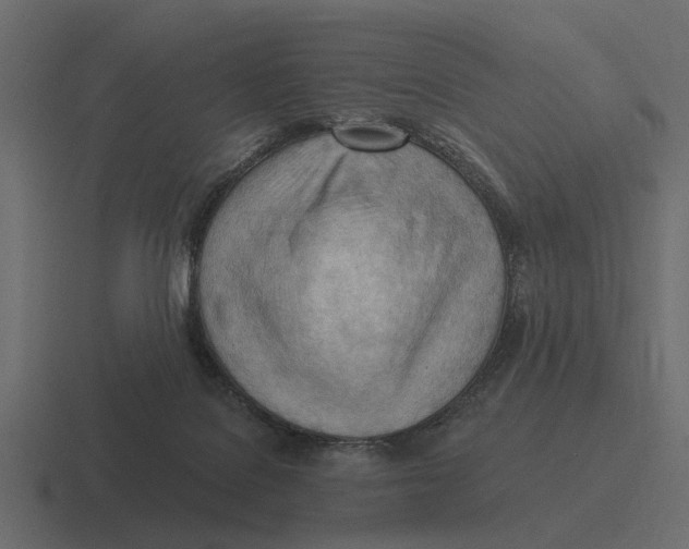 X0000116320076200912291541