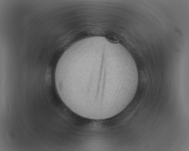 X0000116320080200912291541