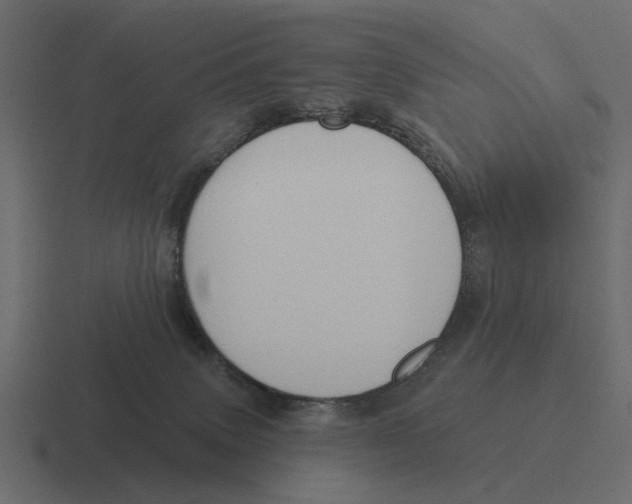 X0000116320083200912291541