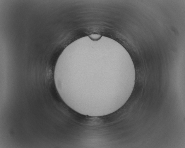 X0000116320087200912291541