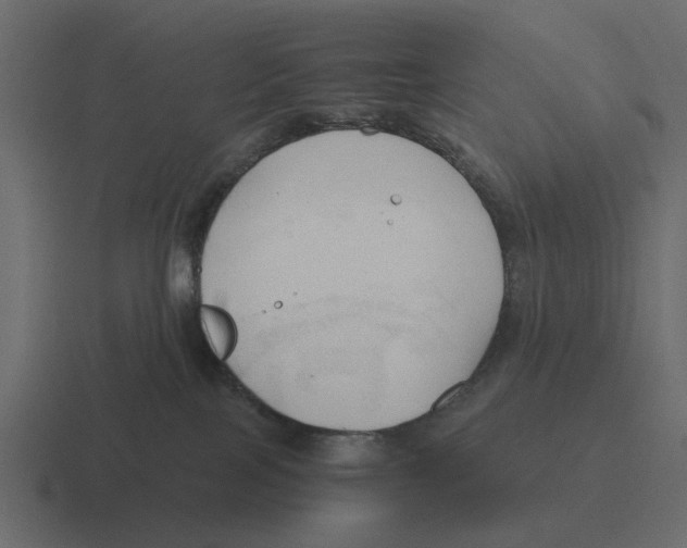 X0000116320089200912291541