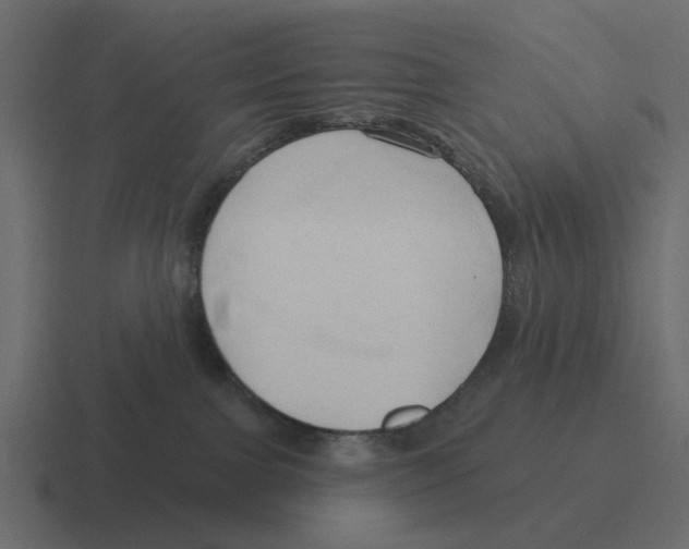 X0000116320091200912291542